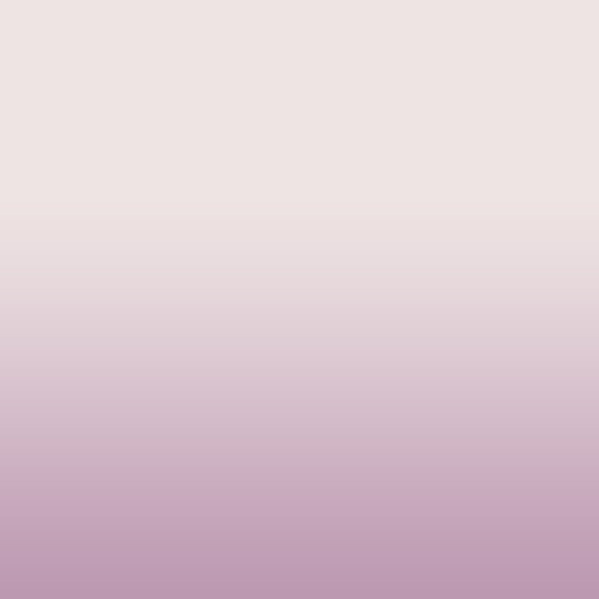 Accessories - Britney Spears Official Store