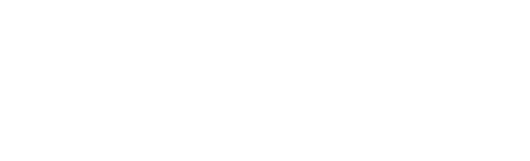 Britney Spears Official Store logo