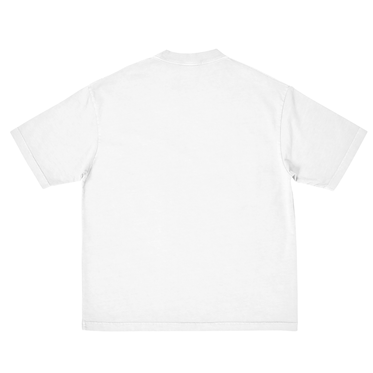 Britney 25th Anniversary Snake Tee back